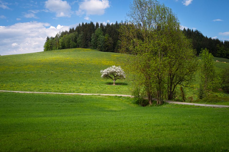 Klagenfurt
