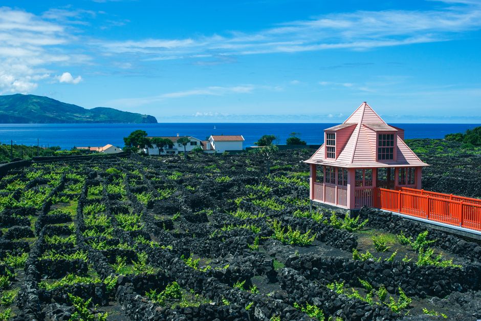 Pico Island